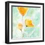 Precious Poppies-Sheila Golden-Framed Art Print