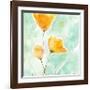 Precious Poppies-Sheila Golden-Framed Art Print