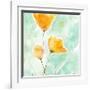 Precious Poppies-Sheila Golden-Framed Art Print