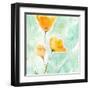 Precious Poppies-Sheila Golden-Framed Art Print