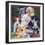 Precious Puppies-Jenny Newland-Framed Giclee Print