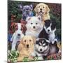 Precious Puppies-Jenny Newland-Mounted Giclee Print