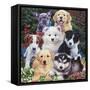 Precious Puppies-Jenny Newland-Framed Stretched Canvas