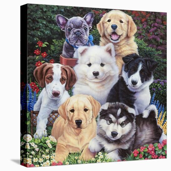 Precious Puppies-Jenny Newland-Stretched Canvas