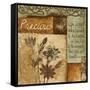 Precious-Piper Ballantyne-Framed Stretched Canvas