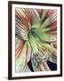 Precious-Barbara Keith-Framed Giclee Print