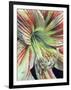 Precious-Barbara Keith-Framed Giclee Print