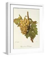 Precoce De Malingre Grape-A. Kreyder-Framed Giclee Print