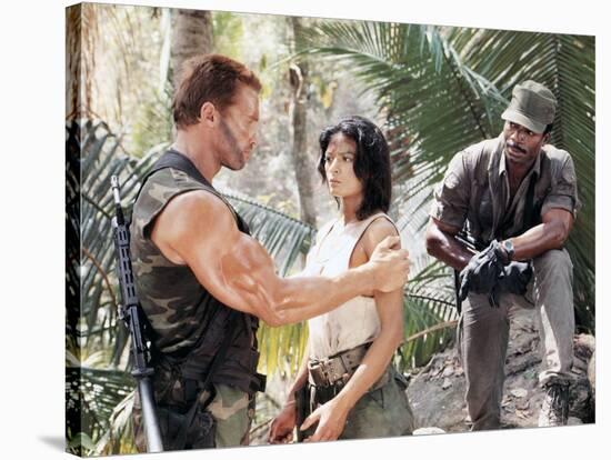 PREDATOR, 1987 directed by JOHN McTIERNAN Arnold Scharzenegger, Elpidia Carrillo and Carl Weathers -null-Stretched Canvas