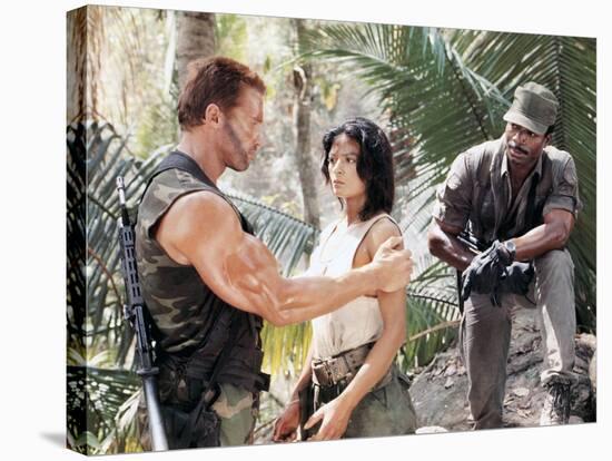 PREDATOR, 1987 directed by JOHN McTIERNAN Arnold Scharzenegger, Elpidia Carrillo and Carl Weathers -null-Stretched Canvas