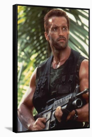 PREDATOR, 1987 directed by JOHN McTIERNAN Arnold Scharzenegger (photo)-null-Framed Stretched Canvas