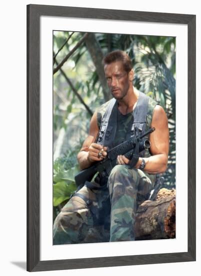 PREDATOR, 1987 directed by JOHN McTIERNAN Arnold Scharzenegger (photo)-null-Framed Photo