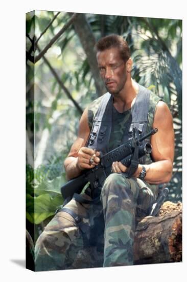 PREDATOR, 1987 directed by JOHN McTIERNAN Arnold Scharzenegger (photo)-null-Stretched Canvas