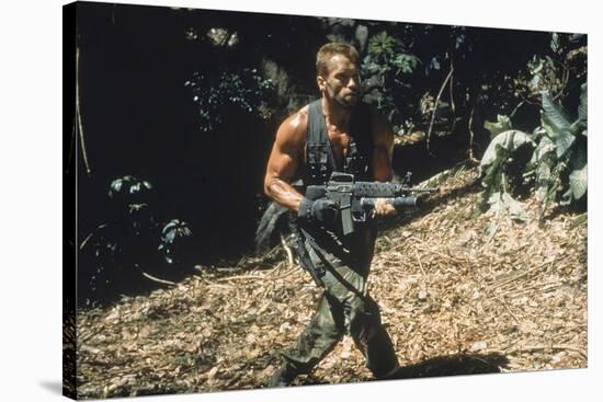 PREDATOR, 1987 directed by JOHN McTIERNAN Arnold Scharzenegger (photo)-null-Stretched Canvas