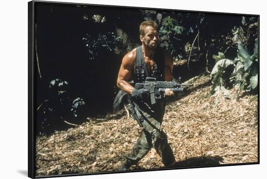 PREDATOR, 1987 directed by JOHN McTIERNAN Arnold Scharzenegger (photo)-null-Framed Photo