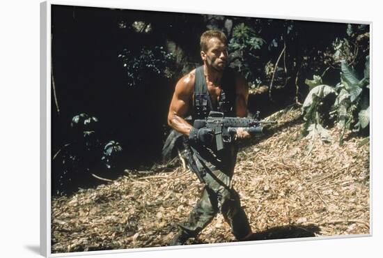 PREDATOR, 1987 directed by JOHN McTIERNAN Arnold Scharzenegger (photo)-null-Framed Photo