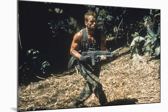 PREDATOR, 1987 directed by JOHN McTIERNAN Arnold Scharzenegger (photo)-null-Mounted Photo