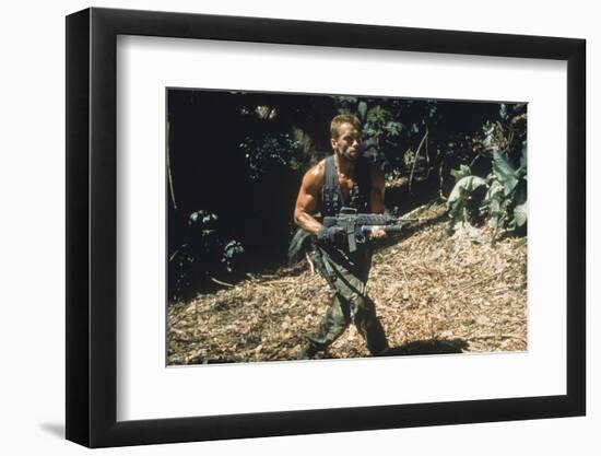 PREDATOR, 1987 directed by JOHN McTIERNAN Arnold Scharzenegger (photo)-null-Framed Photo