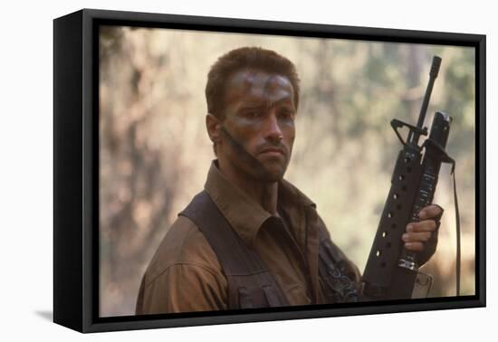 PREDATOR, 1987 directed by JOHN McTIERNAN Arnold Scharzenegger (photo)-null-Framed Stretched Canvas