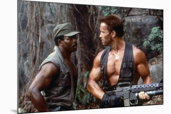 PREDATOR, 1987 directed by JOHN McTIERNAN Carl Weathers and Arnold Scharzenegger (photo)-null-Mounted Photo