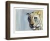 Predator (Arabian Leopard), 2009-Mark Adlington-Framed Giclee Print