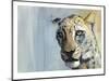 Predator (Arabian Leopard), 2009-Mark Adlington-Mounted Giclee Print