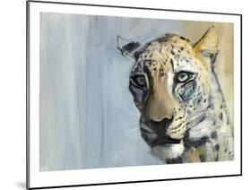 Predator (Arabian Leopard), 2009-Mark Adlington-Mounted Giclee Print
