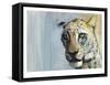 Predator (Arabian Leopard), 2009-Mark Adlington-Framed Stretched Canvas