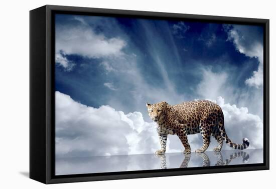 Predator Stay On The Sky Background-yuran-78-Framed Stretched Canvas