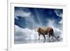 Predator Stay On The Sky Background-yuran-78-Framed Photographic Print