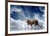 Predator Stay On The Sky Background-yuran-78-Framed Photographic Print