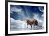 Predator Stay On The Sky Background-yuran-78-Framed Photographic Print