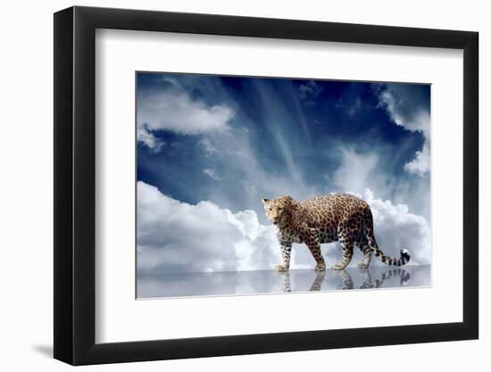 Predator Stay On The Sky Background-yuran-78-Framed Photographic Print