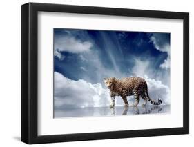 Predator Stay On The Sky Background-yuran-78-Framed Photographic Print