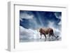 Predator Stay On The Sky Background-yuran-78-Framed Photographic Print