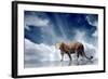 Predator Stay On The Sky Background-yuran-78-Framed Photographic Print