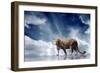 Predator Stay On The Sky Background-yuran-78-Framed Photographic Print