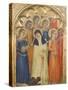 Predella Panel of St. Lucy with Saints, 1350-60-Giovanni Da Milano-Stretched Canvas