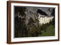 Brown Frame