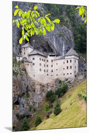 Predjama, Inner Carniola, Slovenia. Predjama Castle, built into the opening of a cave.-null-Mounted Premium Photographic Print