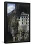 Essential Black
