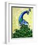 Preening Peacock-Megan Aroon Duncanson-Framed Art Print