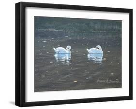 Preening Swans-Bruce Dumas-Framed Giclee Print