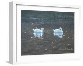 Preening Swans-Bruce Dumas-Framed Giclee Print