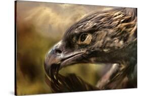 Preening-Jai Johnson-Stretched Canvas