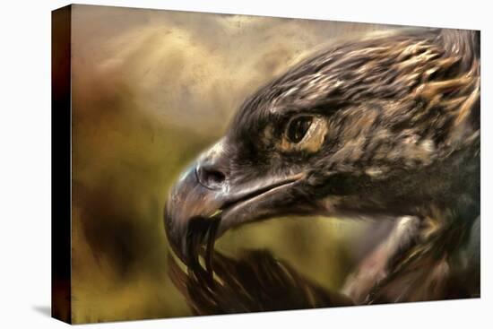 Preening-Jai Johnson-Stretched Canvas