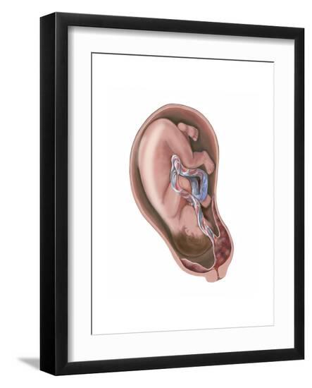 Art Print, , large
