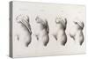 Pregnancy, Trimesters, Illustration, 1822-Science Source-Stretched Canvas