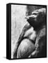 Pregnant Mountain Gorilla-null-Framed Stretched Canvas