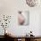 Pregnant Woman-Cristina-Photographic Print displayed on a wall